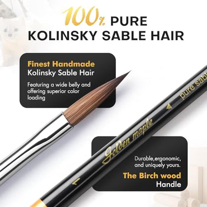 Golden Maple Kolinsky Sable Miniature Paint Brushes, 5PC Professional Detail Paint Brushes Arrow Point Paint Brush Set for Models, Watercolor Details, Figures & Gouache Painting, Black - size: BG32 Arrow Point