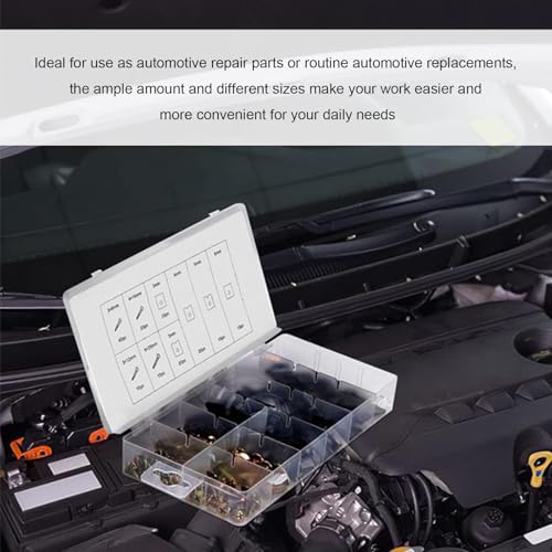 170PCS Car U-Clip and Screw Assortment Kit, 9 Sizes Auto Body Panel Screws U Nuts Replacement, Rustproof Metal Fasteners Automotive Repair Parts for Dash Door Panel Interior