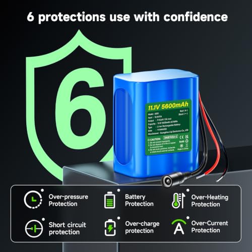 CITYORK 12V Lithium Battery 5600mAh with Charger, Bare-Leads, Cable Connector, 12V Rechargeable Battery for DIY Projects, Speaker Box, RC Car, LED Light Strip, CCTV Camera, etc (9-12.6V)