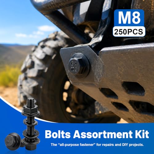 250PCS M8 Flange Bolts and Nuts Assortment Kit, Grade 10.9 Alloy Steel | Black Zinc Plated Metric M8-1.25 x16/20/25/30mm Hex Screws Flat & Spring Washers for 3D Printer, RC Car, Drones, DIY Repair - size: G10.9 M8 250PCS