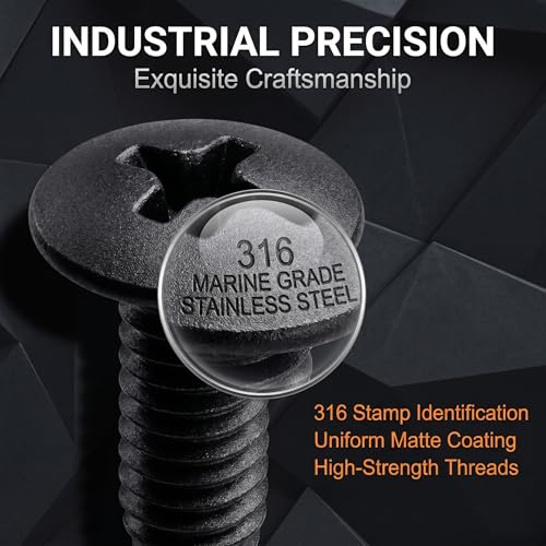 8 PCS License Plate Screws Kit, Stainless Steel Black Finish Fasteners, Black Phillips Screws Replacements, Universal for Most Cars, Trucks and Vans
