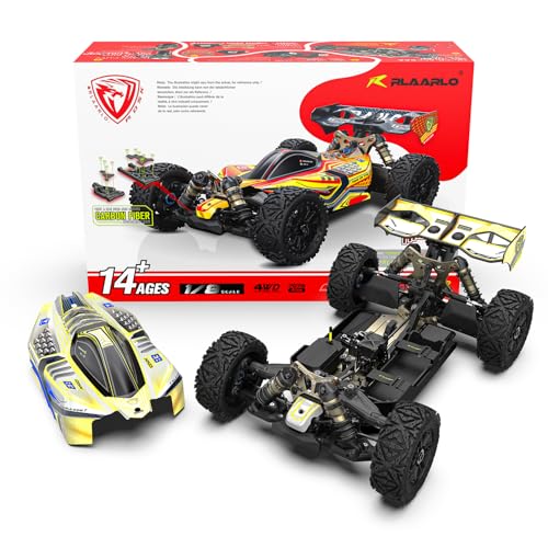 AMORIL RLAARLO DSK 1/8 RC Buggy Roller, Dragon Knight,4WD Without Electronics,Blue - color: Light Blue, size: 1:8 ROLLER