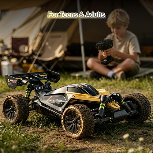 RLAARLO 1/10 Brushless RC Cars, 4×4 Buggy, 50+ MPH, Carbon Fiber, Ages 8+ | 3650-2650KV Brushless Motor, 4WD, 3S LiPo, Alloy Chassis, Sealed Diffs, 20kg Servo, 6CH Radio, Waterproof, All-terrain