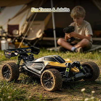 RLAARLO 1/10 Brushless RC Cars, 4×4 Buggy, 50+ MPH, Carbon Fiber, Ages 8+ | 3650-2650KV Brushless Motor, 4WD, 3S LiPo, Alloy Chassis, Sealed Diffs, 20kg Servo, 6CH Radio, Waterproof, All-terrain