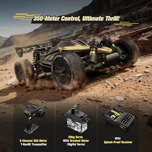 1/10 Brushless RC Buggy with 2 * 2200 Battery
