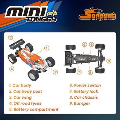 Serpent 1:24 Mini 2WD Truggy RTR, 1/24 Scale 2.4GHz Short Course Truck | All Terrain Off-Road Buggy RTR, High Performance with 1 Battery 1 USB Data Cable - style: 430003
