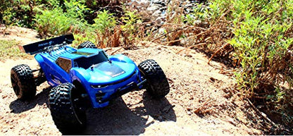 Redcat Racing Piranha-TR-10 Piranha Tr10 Truggy, Blue