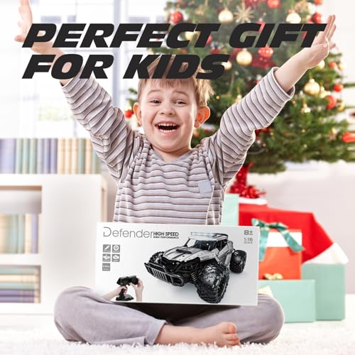 Tecnock RC Car 1/16 Scale Remote Control Car for Boys, High Speed 20 Km/h All Terrains Rc Monster Truck with Two Rechargeable Batteries & Head Chassis Lights Gift Toy for Kids Adults, Silver - color: Silver