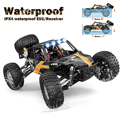 HAIBOXING 905 Protector 1:12 Scale RC Cars, Off-Road RC Buggy Hobby Grade | Aluminum Oil-Filled Shocks, Fast Remote Control Car 38 km/h, 2.4GHz Waterproof ESC, Perfect for Kids& Adults, Dual Batteries