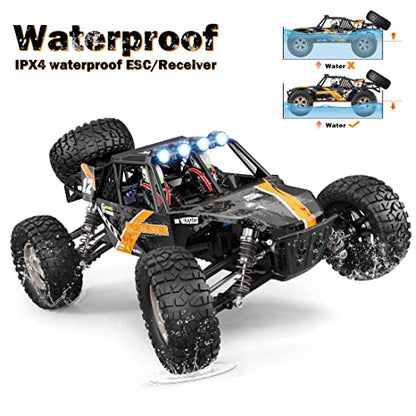 HAIBOXING 905 Protector 1:12 Scale RC Cars, Off-Road RC Buggy Hobby Grade | Aluminum Oil-Filled Shocks, Fast Remote Control Car 38 km/h, 2.4GHz Waterproof ESC, Perfect for Kids& Adults, Dual Batteries