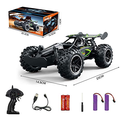 Remote Control Car, RC Cars for boys age 8-12, Toys Cars for boys age 4-7, 1:18 2.4Ghz Monster RC Truck Toys for Girls, Off Road RC Crawler Easter Basket Stuffers Gifts for Kids(Black green)