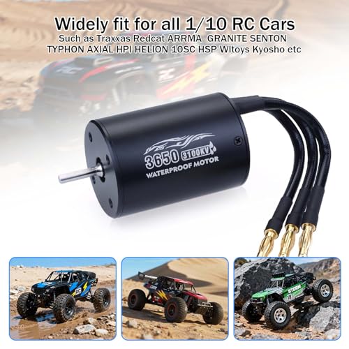 SurpassHobby 3650 3100KV 3.175mm Shaft High Speed Waterproof Motor for Most of 1:10 Scale RC Vehicles Truck Update Parts - size: 3100KV, style: 3650 Motor