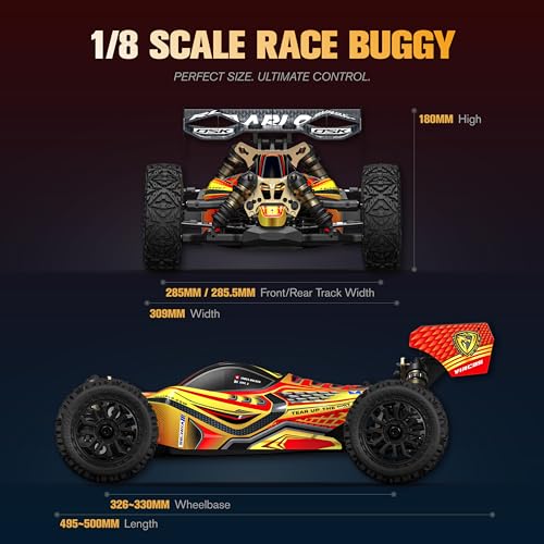 AMORIL RLAARLO DSK 1/8 Remote Control Buggy with 50mph,4WD Dragon Knight RTR (AAA Battery and Lipo not Included),Waterproof, Red, Ages 14+ - color: Red, size: 1:8 RTR