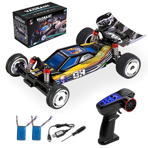 GoolRC WLtoys 244016 RC Cars, 2.4GHz 1:24 Scale Remote Control Car, 2WD 25KPH High Speed Racing Car, Off Road RC Buggy with 2 Batteries
