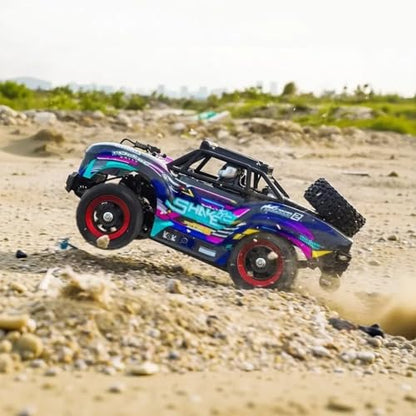 1/16 Hobby RC Race Truck, 30 MPH High Speed Remote Control 4WD Car, All Terrain Rock Crawler Truck for Boys 4X4 Off-Road Racing Car with 2 Batteries