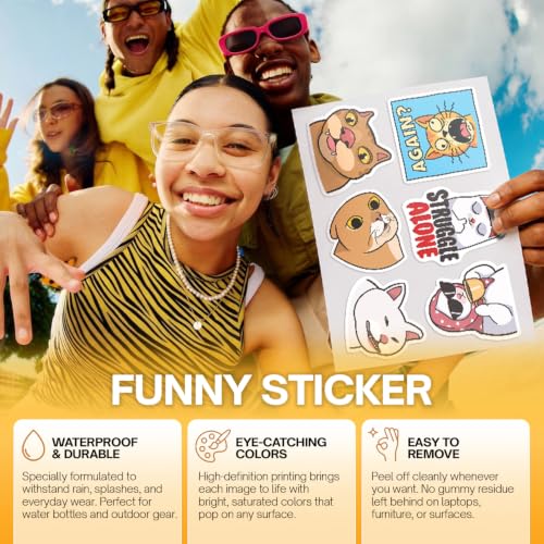 Premium 200Pcs Funny Holographic Stickers Waterproof Vinyl Decals | 200 Unique Designs Holographic Stickers With Funny Quotes, Playful Illustrations, Memes, And Eye-Catching Reflective Designs. - color: Funny Holographic Stickers, size: 200 Pcs