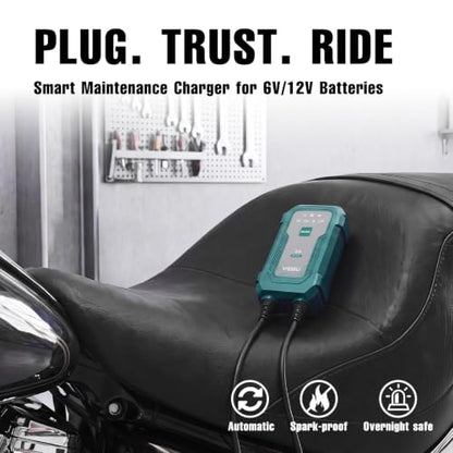 Smart 2A 6V/12V Battery Charger Maintainer - Auto Desulfator & Winter Mode for Deeply Discharged Lead-Acid & LiFePO4 Batteries - Perfect for Motorcycle, Car, Boat, RV, ATV - size: 2A