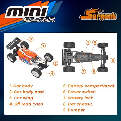 Serpent 1/24 Mini RC Off-Road Buggy RTR, 2.4GHz Remote Control Car | with Gyro, All Terrain High Performance Vehicle Includes 1 Battery & USB Charging Cable - style: 430001