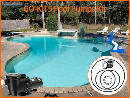 O-Ring Rebuild Repair Kit Compatible with P-entair Challenger GO-KIT5 Pool Pump, Includes 5 O-Rings & PS-200 Shaft Seal, Fit for Pac-Fab Challenger Pumps