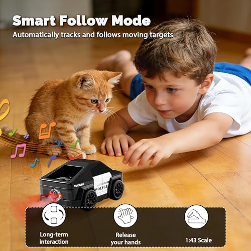 Remote Control Car Cyber-Inspired Rc Cars Toys with Drift Spray Lights Sound Automatic Follow 2.4GHz Rc Truck Toys for 3+ Boys Pet - color: Black