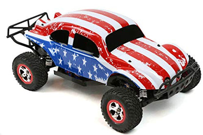 SummitLink Custom Body Flag Strip Style Compatible for 1/10 Scale RC Car or Truck (Truck not Included) SSB-FP-01