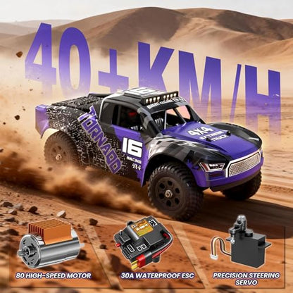 Remote Control RC Cars 1:16 Monster Truck Toys Cars for Adult & Boys, 4WD Off-Road, Metal Transmission Parts, High Speed Fast 40+ KPH, 4X4 Waterproof with 2 Rechargeable Batteries (HS16-83) - color: Purple