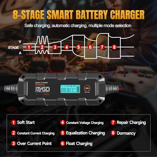 6A Car Battery Charger, 6V/12V Automative Trickle, Maintainer Battery Charger Desulfator with Temperature Compensation, LiFePO4 & Lead Acid Batteries for Motorcycle Lawn Mower Boat