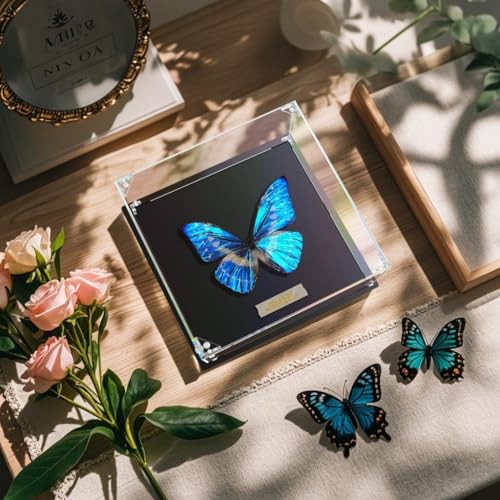 Clear Acrylic Display Case for Bible, Book Display Case, Stamp or Coin Collection Display Case Self Assemble Display Case Collectibles Acrylic Display Box(32x25x8cm, 12.6x9.8x3.1inch) - size: 12.6x9.8x3.1inch, 32x25x8cm