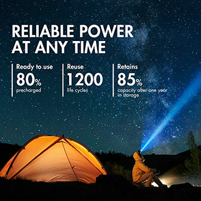 Tenergy TN160 12-Bay LCD NiMH/NiCD AAA/AA Battery Charger + 12 AA Premium NiMH Rechargeable Batteries - size: Charger + 12 Pack Premium AA