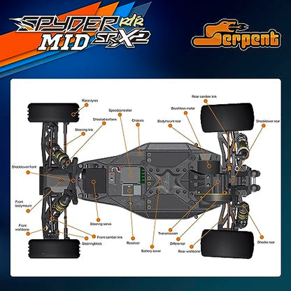 Serpent 1:10 Brushless RC Cars for Adults, 2WD Buggy, High Speed, Long Life | High-Performance, Off-Road, RTR Oil Filled Shocks Remote Control Racing Car, Battery and Charger Excluded (SRX-2 MM)