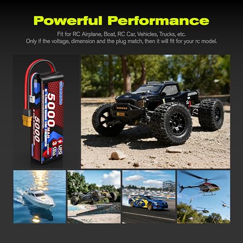 RIAARIO 3s Lipo Battery 30C 5000mAh 11.1V Lipo Battery with XT60 Connector for RC Car Truck Truggy Buggy Racing Hobby Models(1 Pack)