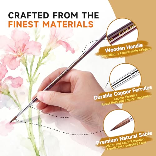 Golden Maple Kolinsky Sable Miniature Paint Brushes, Professional Detail Paint Brushes Round Point Paint Brush for Models, Watercolor Details, Figures & Gouache Painting - Size 0, 1, 3 - size: 0 1 3 Round Point