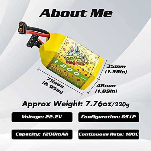 CNHL 1200mAh 6S Lipo Battery 22.2V 100C with XT60 Plug for FPV Drone RC Quadcopter Helicopter Airplane Racing Hobby(2 Packs)