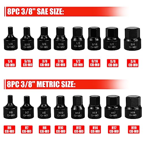 C&T 16 Piece 3/8-Inch Drive Low Profile Impact Hex Driver Set,SAE/Metric,1/4 Inch - 3/4 Inch, 6mm - 19mm, Cr-Mo Steel, Hex Bit Socket Set, Heavy Duty Storage Case