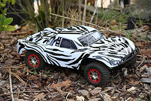 SummitLink Compatible Custom Body Zebra Style Replacement for 1/10 Scale RC Car or Truck (Truck not Included) SS-Z-01