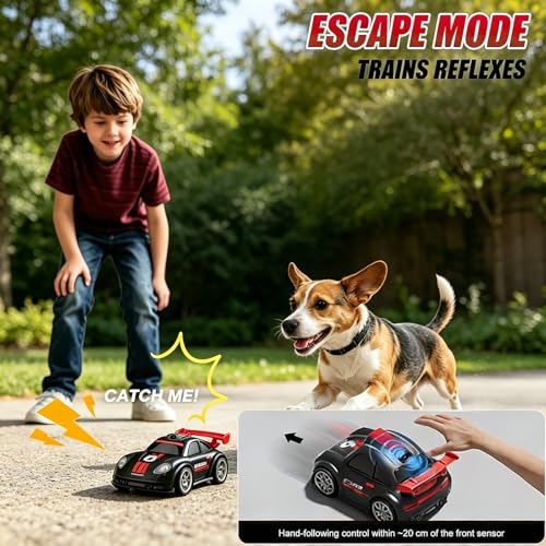 Mini RC Car with Camera, 2.4" Screen FPV Remote Control Car with 8G Card, Rechargeable 360° Drift Kids Small RC Racing Car Dual Control via Remote & App Controlled Vehicles, Follow/Escape/Demo Modes