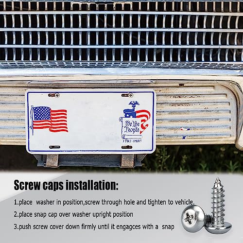 Anti Theft License Plate Screws, Tamper Resistant Mounting Hardware,1/4"(M6) Security Screw Set, Rust Proof Stainless Steel Bolts Fasteners Kit for Front Rear Frame Holder Mounting - color: Silver