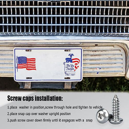 Anti Theft License Plate Screws, Tamper Resistant Mounting Hardware,1/4"(M6) Security Screw Set, Rust Proof Stainless Steel Bolts Fasteners Kit for Front Rear Frame Holder Mounting - color: Silver
