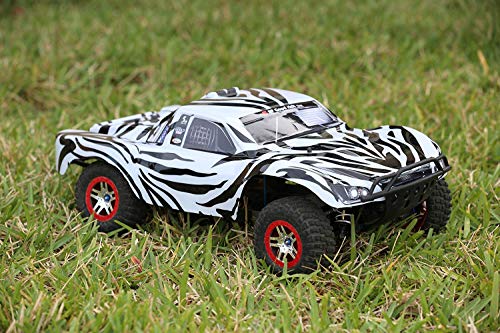 SummitLink Compatible Custom Body Zebra Style Replacement for 1/10 Scale RC Car or Truck (Truck not Included) SS-Z-01