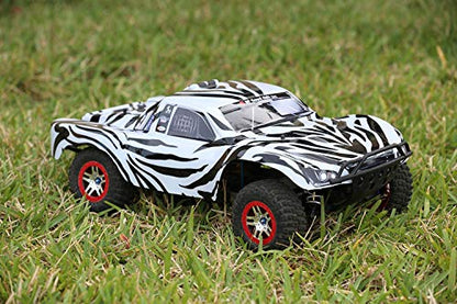 SummitLink Compatible Custom Body Zebra Style Replacement for 1/10 Scale RC Car or Truck (Truck not Included) SS-Z-01