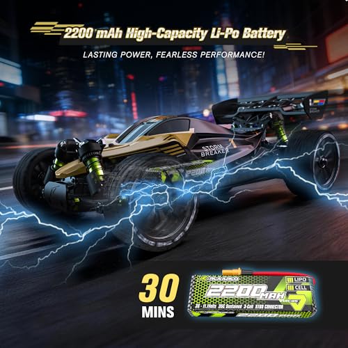 1/10 Brushless RC Buggy with 2 * 2200 Battery