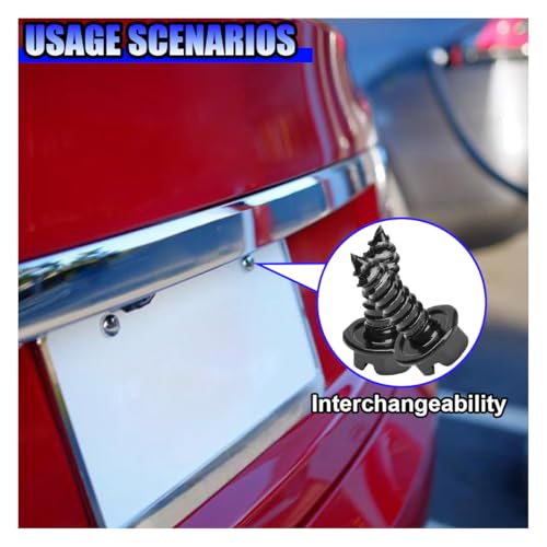 Rustproof Car License Plate Screw Kit, Stainless Steel Self Anti-Theft Anti-Rattle Tapping Mounting Bolts, Auto Fasteners for Securing License Plate Frames and Covers on Car Truck SUV (20PCS) - size: 20PCS