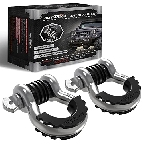 AUTMATCH 3/4" D Ring Shackles (2-Pack) - 41,887 lbs Break Strength | Clevis Shackle with 7/8" Pin & Isolator Washer Kit for Tow Strap, Winch, Towing & Off-Road Vehicle Recovery, Silver - color: Silver