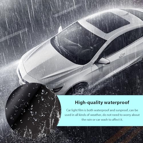 Car Headlight Tint Film, 12×48 Inch Vinyl Vehicle Tail Light Wrap Film Roll with Squeegee & Cutter, Waterproof Vinyl Tinted Sticker for Headlights Fog Lights Tail Lights (Matte Black) - color: Matte Black