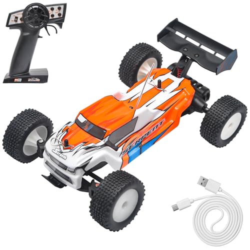 Serpent 1:24 Mini 2WD Truggy RTR, 1/24 Scale 2.4GHz Short Course Truck | All Terrain Off-Road Buggy RTR, High Performance with 1 Battery 1 USB Data Cable - style: 430003