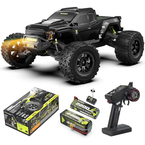 RIAARIO 1/10 Brushelss RC Cars with 4400 mAh
