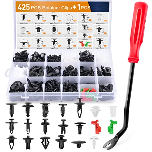 GOOACC 425 Pcs Car Body Retainer Clips Set Tailgate Handle Rod Clip Fastener Remover - 19 Popular Sizes Auto Push Pin Rivets -Door Trim Panel Clips for GM Ford Toyota Honda Chrysler - color: 425Pcs Clips + Remover