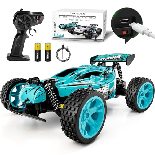 Tecnock RC Cars Remote Control Car for Kids, 1:18 Scale 20 KM/H 2WD Offroad Buggy, 2.4GHz RC Racing Car with USB-C Easy Charging & 50 Mins Playtime, Toys Gifts for Boys & Girls - color: Blue