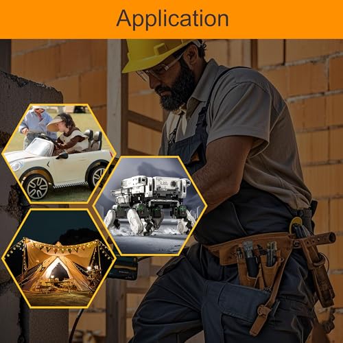 RVBOATPAT 2PCS Battery Adapter Compatible with Dewalt 20V Power Wheel Adapter Battery Converter Kit 12 AWG Wire with Fuses and Connectors for Robotic RC Car Toy - color: 2 Pack