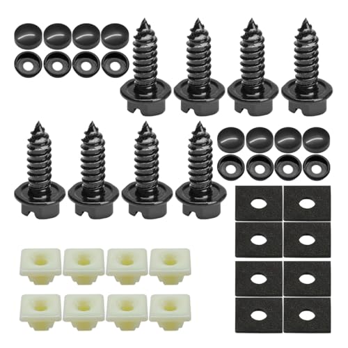 Rustproof Car License Plate Screw Kit, Stainless Steel Self Anti-Theft Anti-Rattle Tapping Mounting Bolts, Auto Fasteners for Securing License Plate Frames and Covers on Car Truck SUV (40PCS) - size: 40PCS